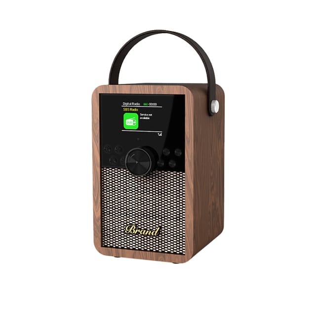 RS-DAB700