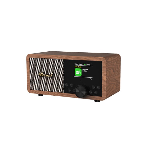 RS-DAB800