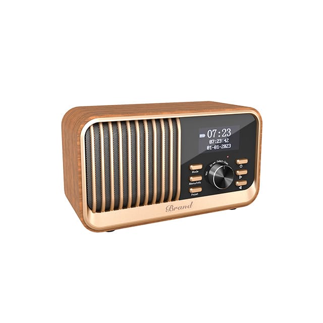 RS-DAB100