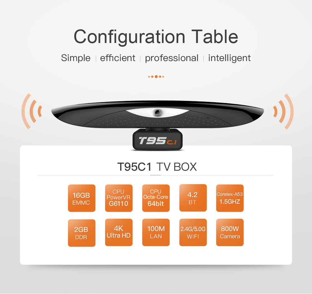 T95 C1