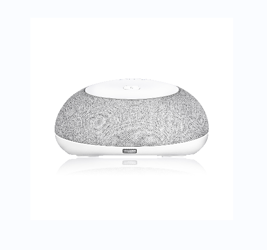 Google certified Smart Speaker KA1-DVB