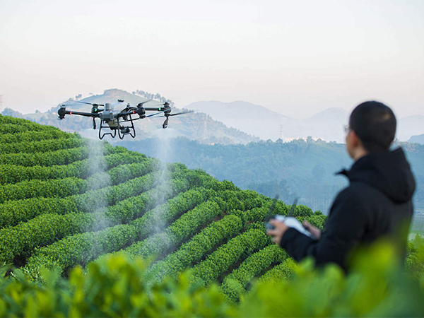 The Growing Role of High-Performance Batteries in Agricultural Drone Operations