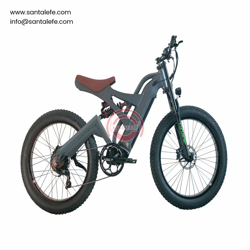 XF800S electric bicycle