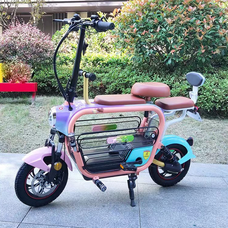 folding electric bike