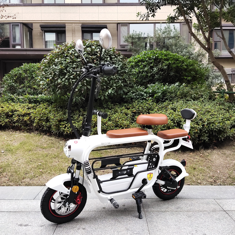 folding electric bike