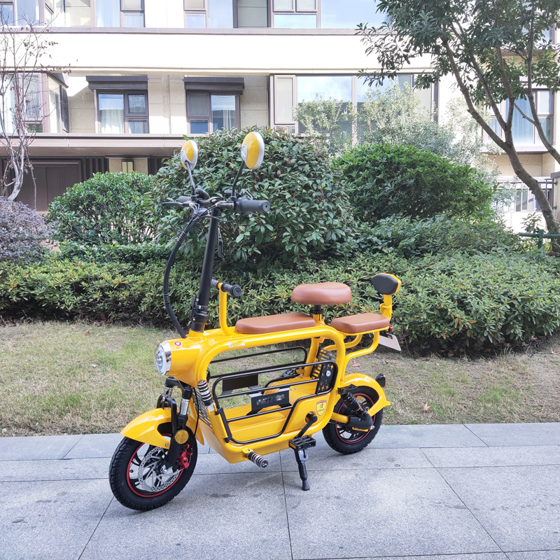 folding electric bike