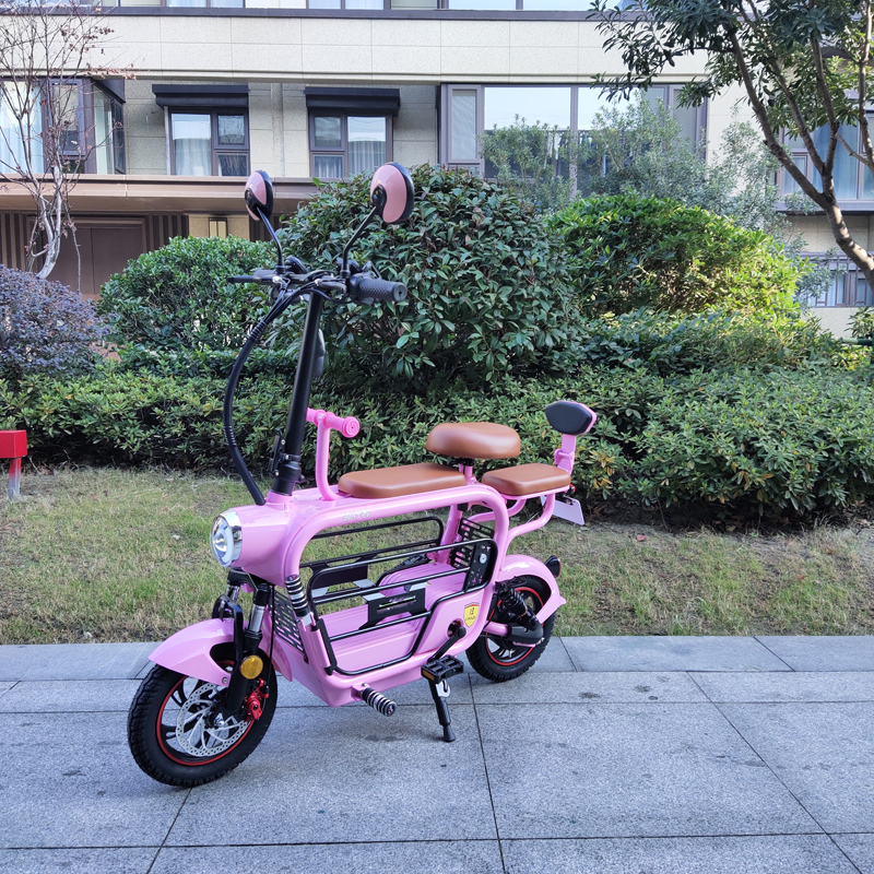 folding electric bike