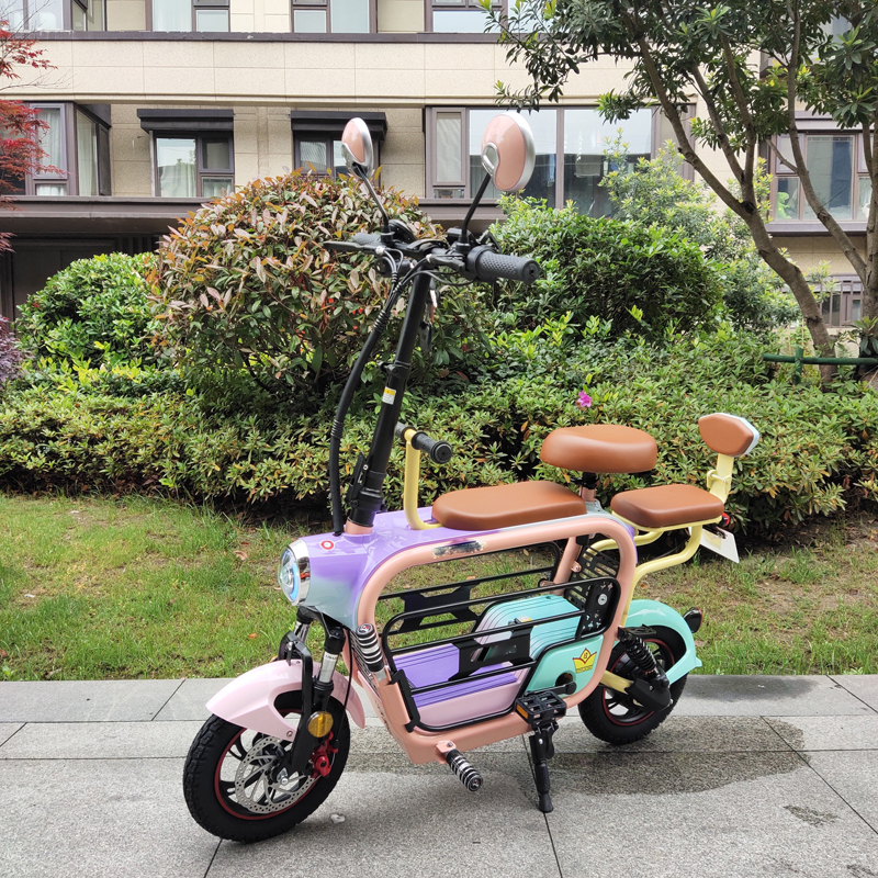 folding electric bike