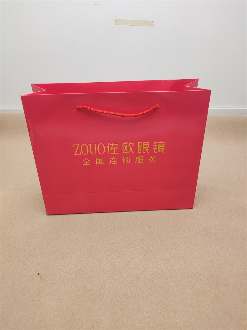 Carry-on carton shopping bag