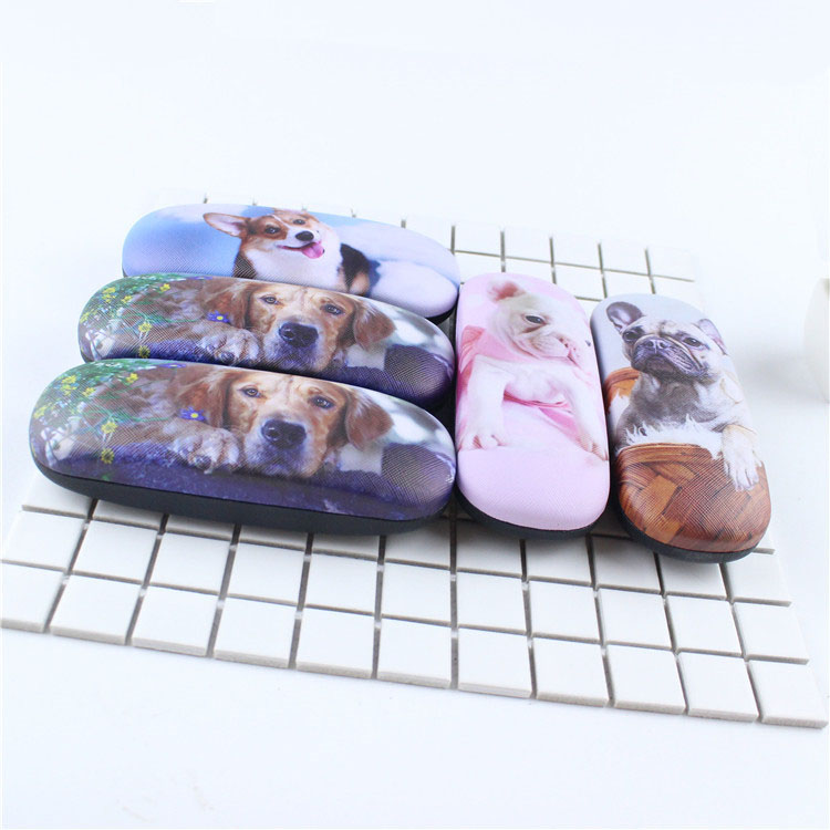 Glasses case
