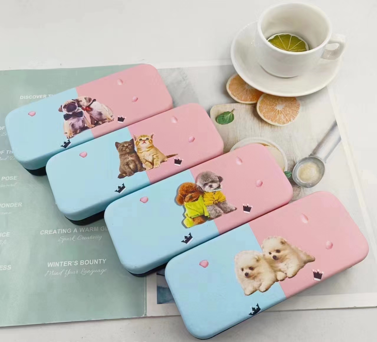 Iron Glasses  case