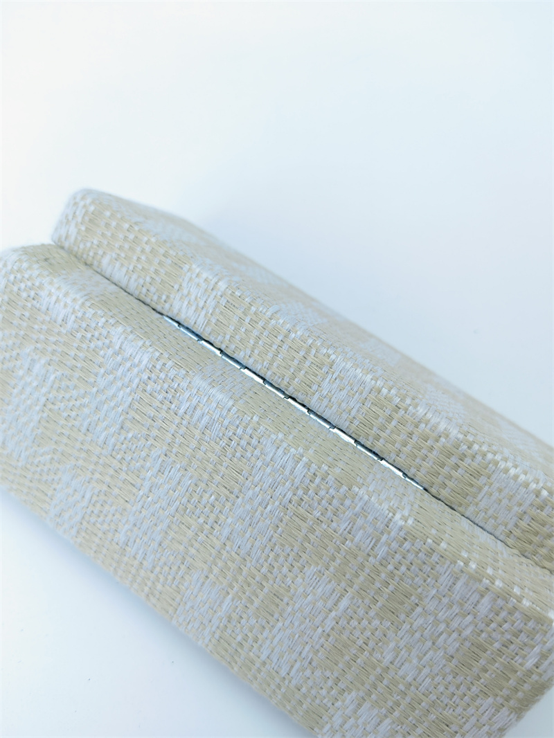 Iron Glasses  case