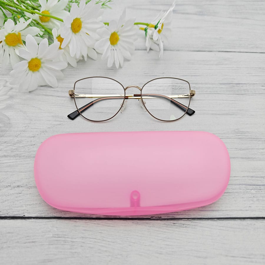 Plastic case