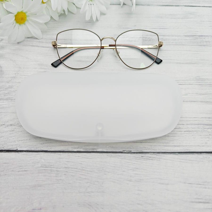 Plastic case