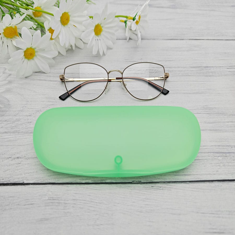 Plastic case