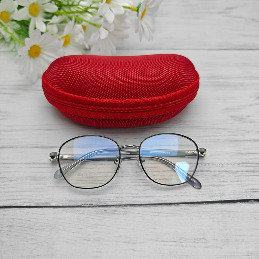 Zipper glasses case
