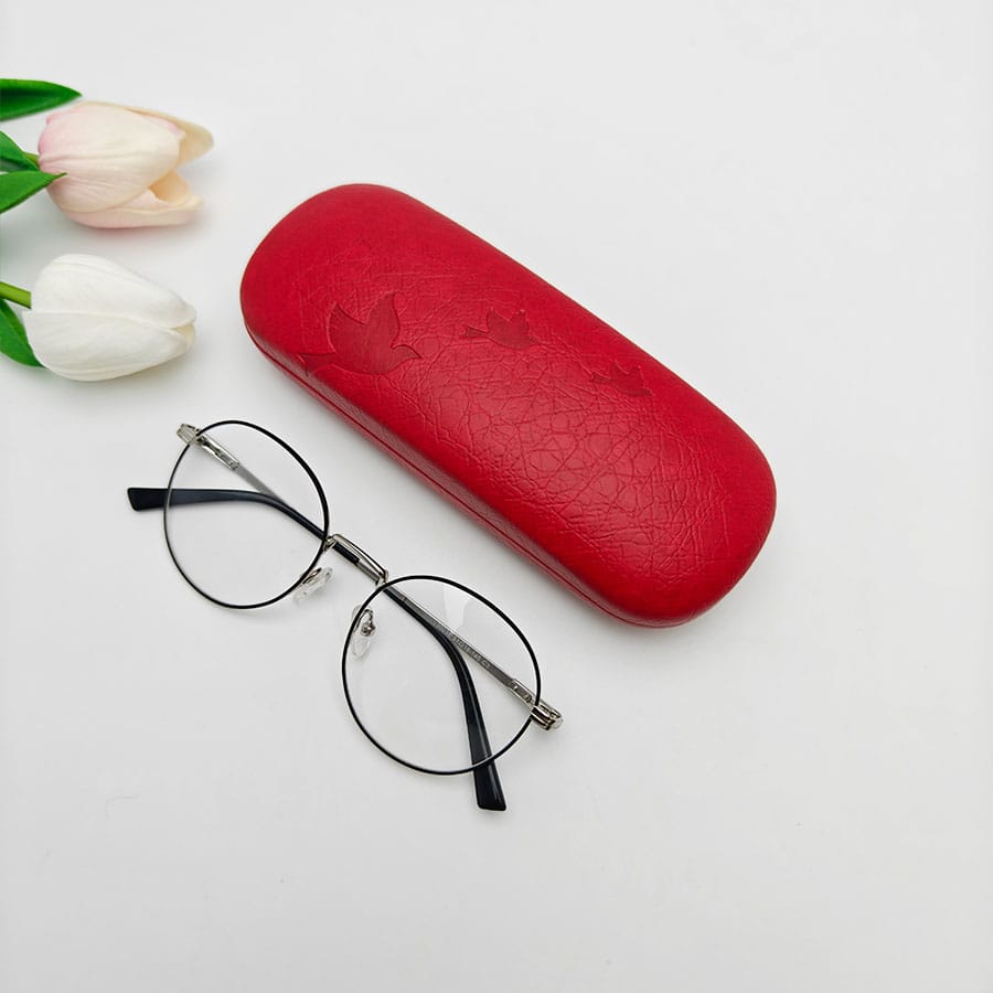 Iron Glasses case