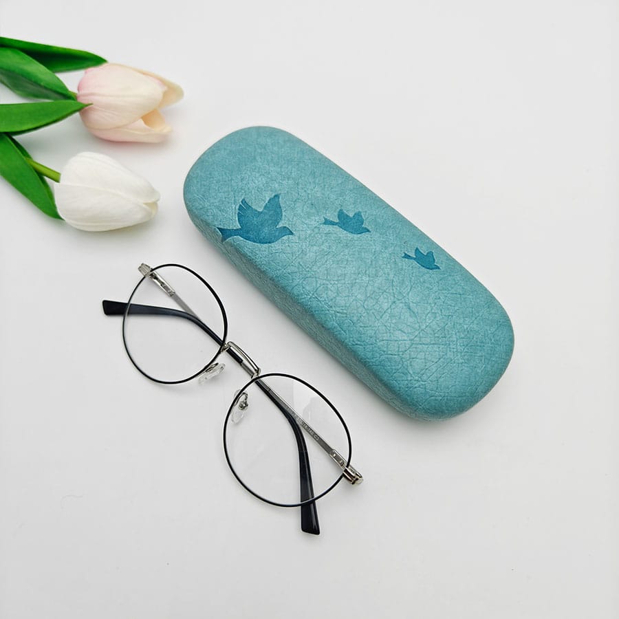 Iron Glasses case