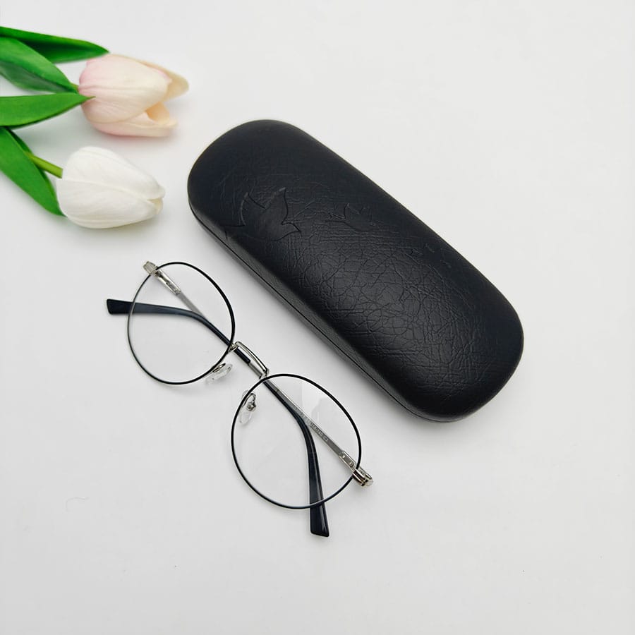 Iron Glasses case