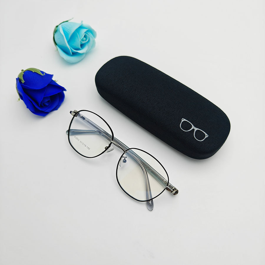 Iron Glasses case