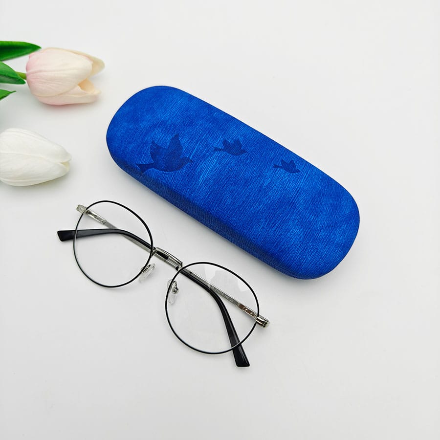 Iron Glasses case