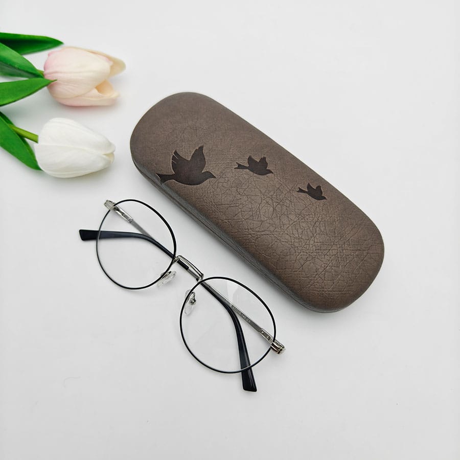Iron Glasses case
