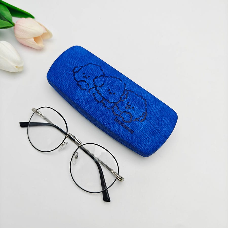 Iron Glasses case