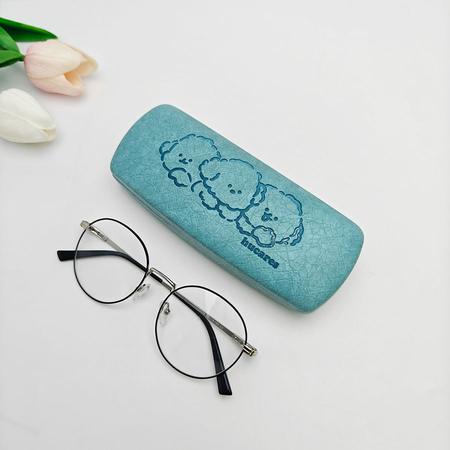 Iron Glasses case