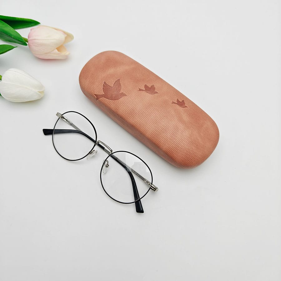 Iron Glasses case