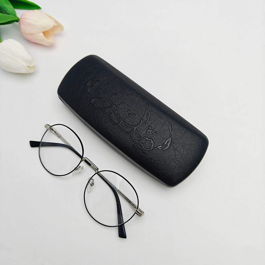 Iron Glasses case