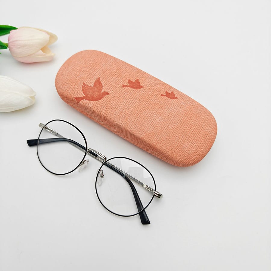 Iron Glasses case