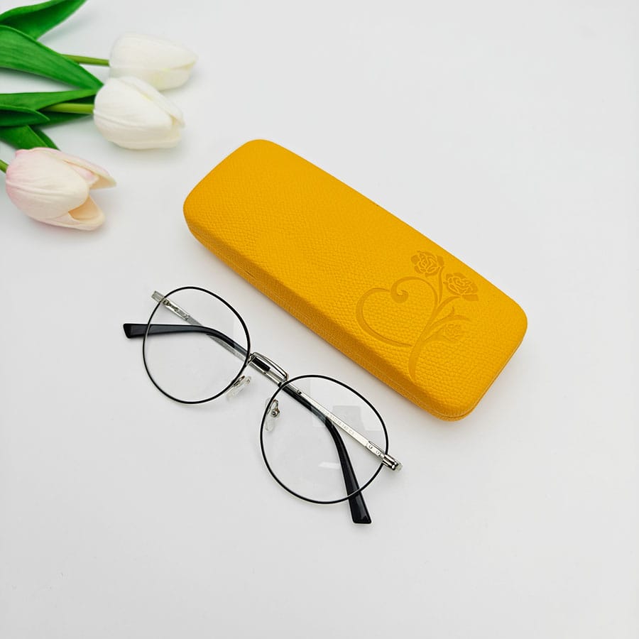 Iron Glasses case