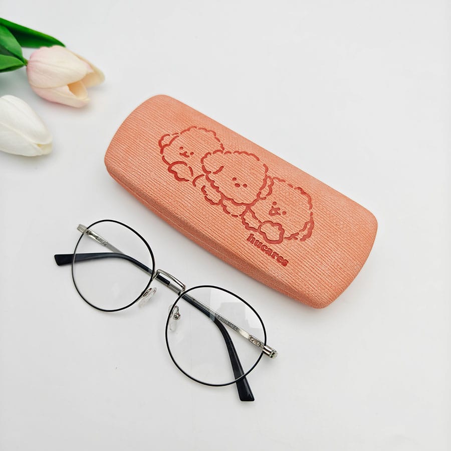 Iron Glasses case