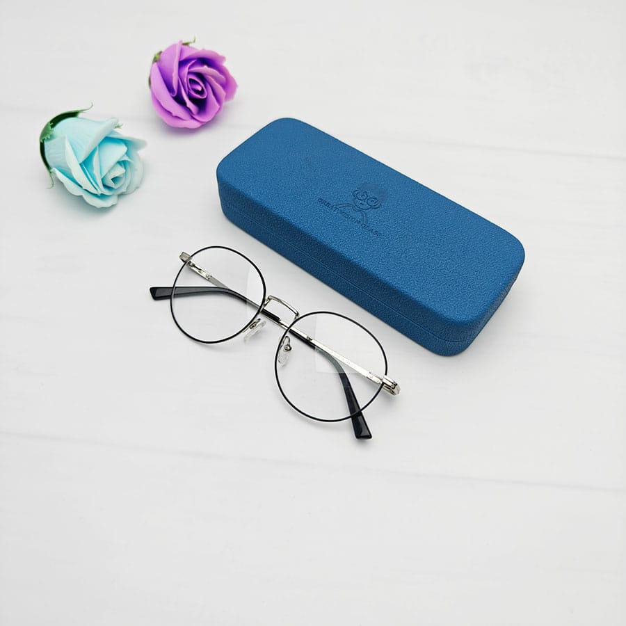 Iron Glasses case