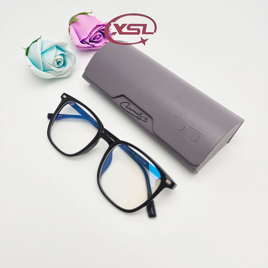 Glasses case