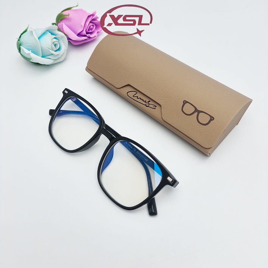 Glasses case