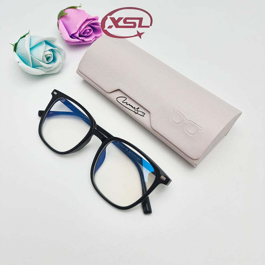 Glasses case