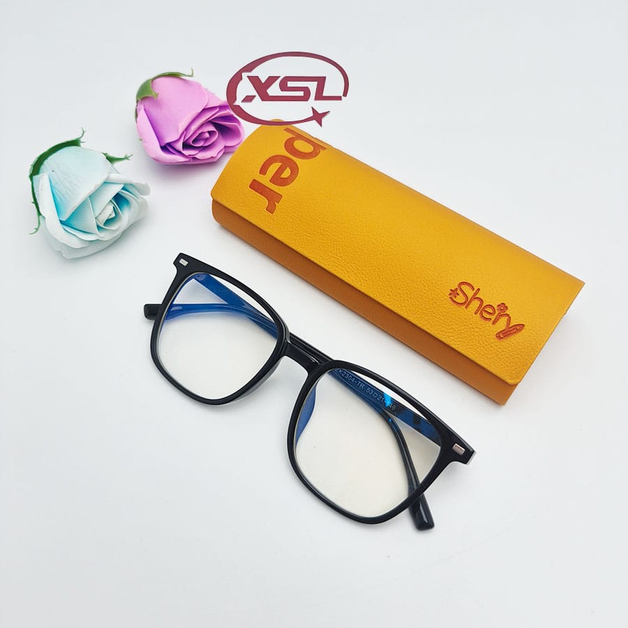 Glasses case
