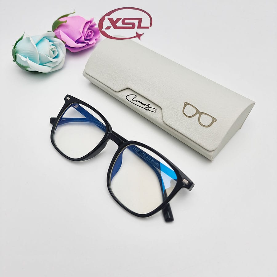 Glasses case