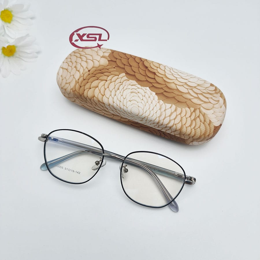 Glasses case