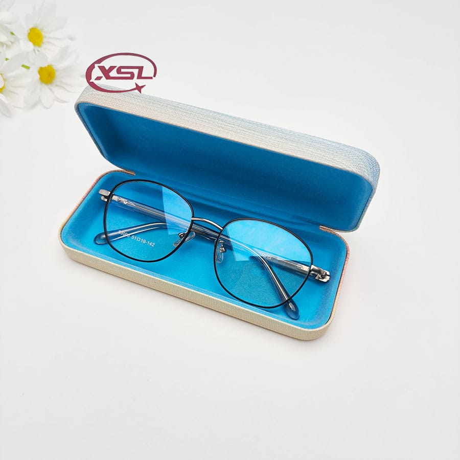 Glasses case