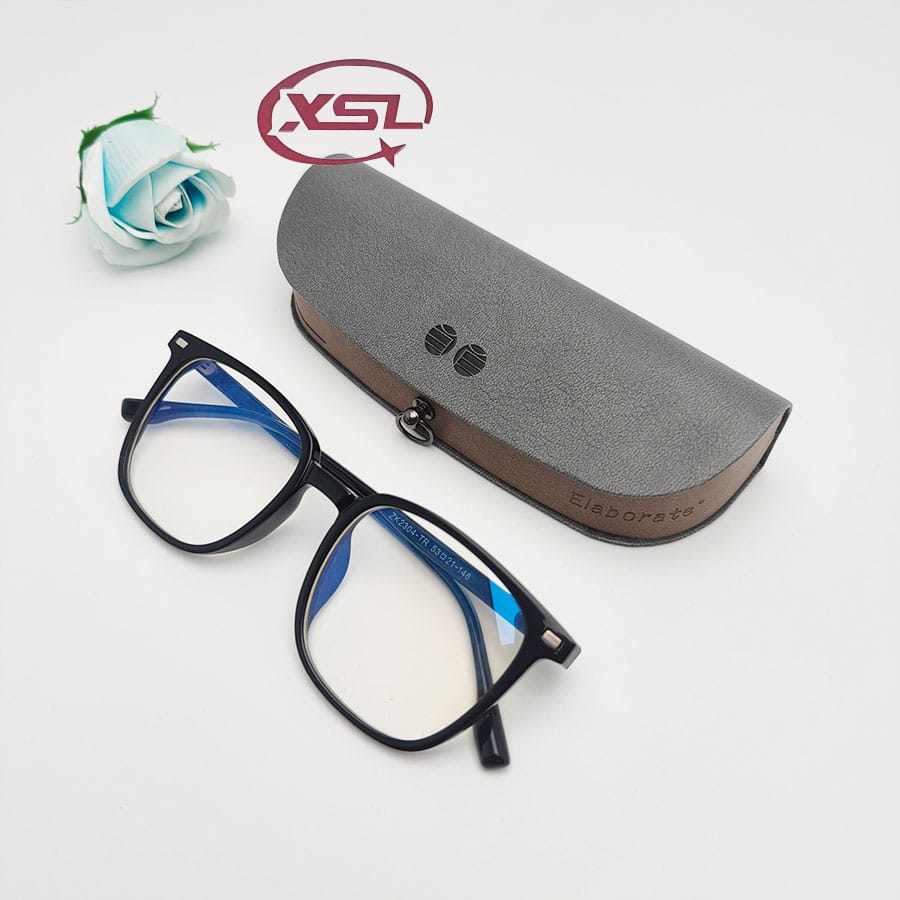 Glasses case