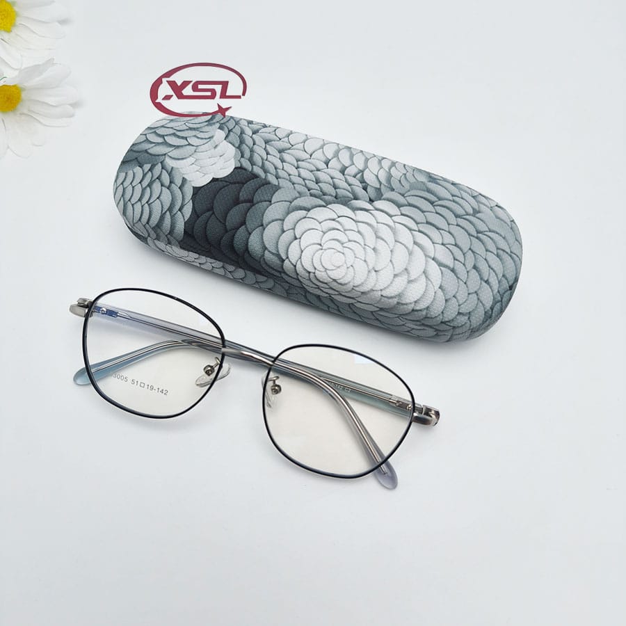 Glasses case