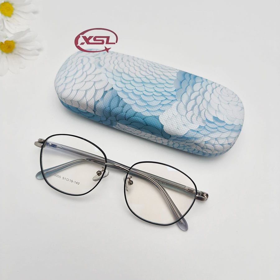 Glasses case