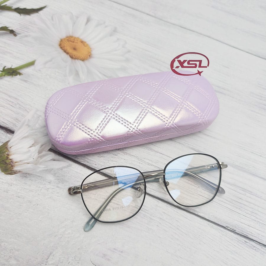 Glasses case