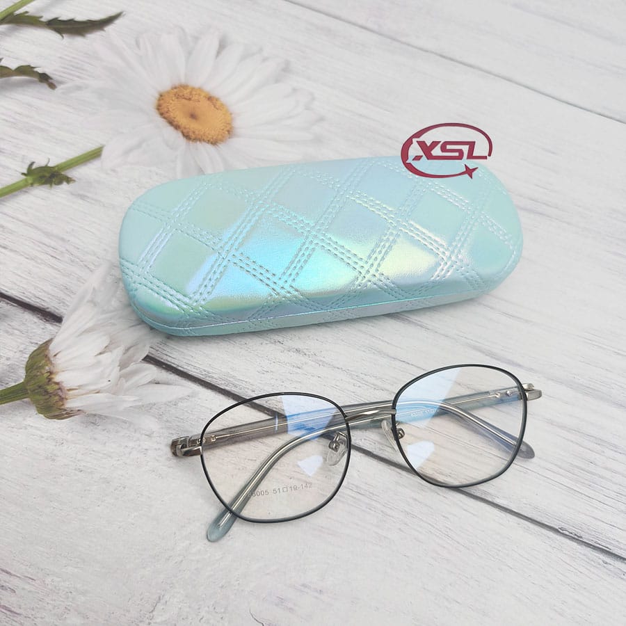 Glasses case