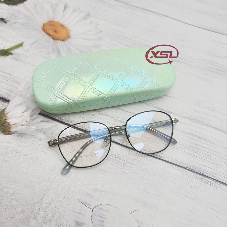 Glasses case