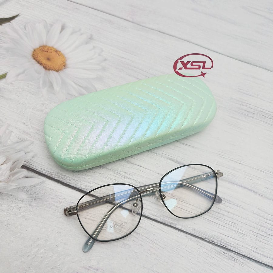 Glasses case