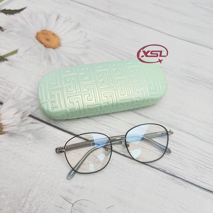 Glasses case