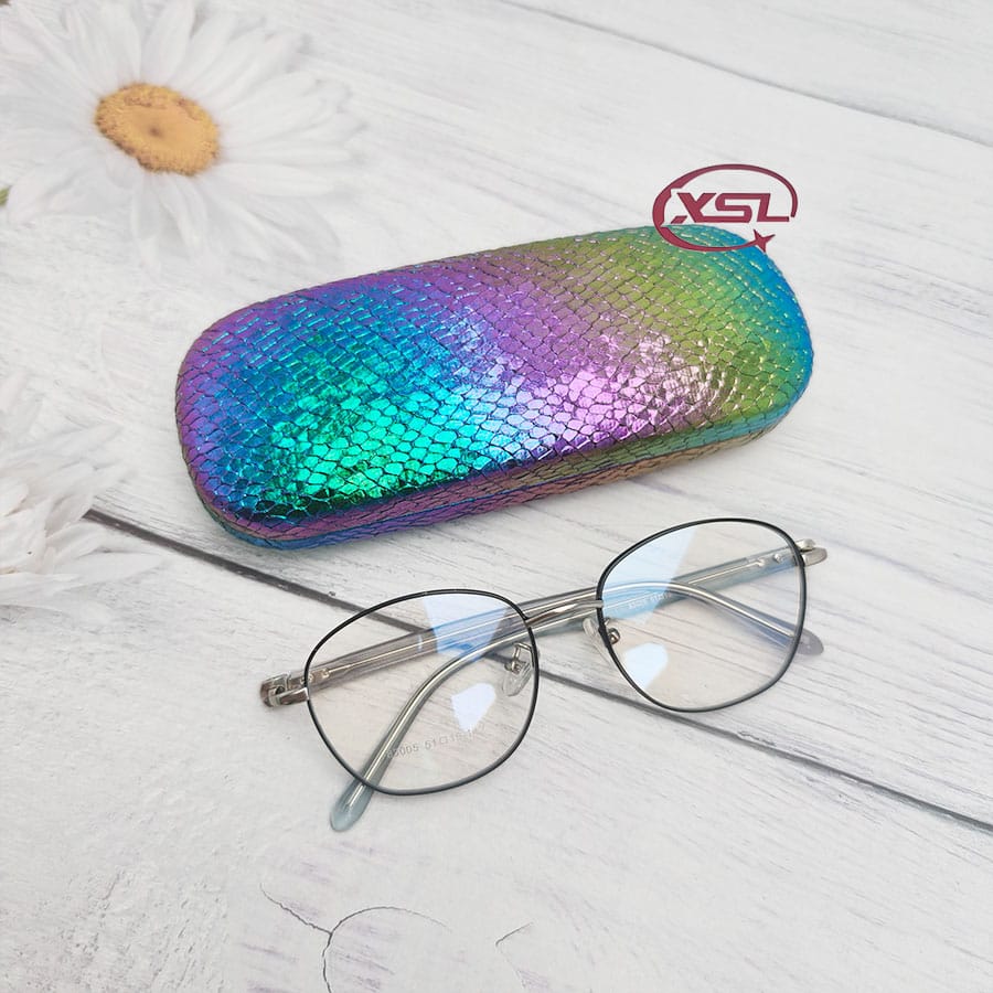 Glasses case